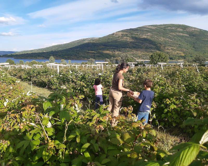 Panorámica de la finca El Puente del Molino