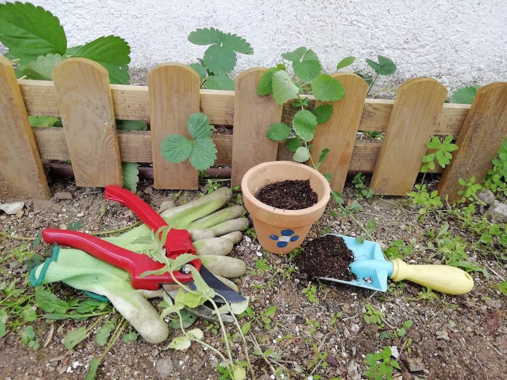 Herramientas de huerta