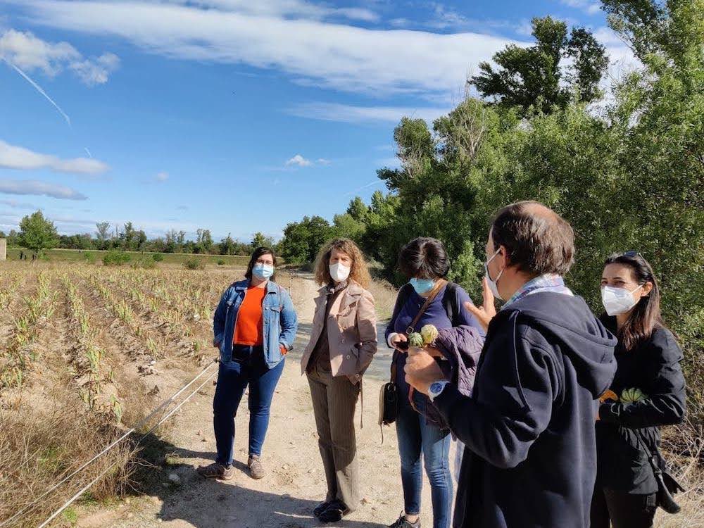 Finca Monjarama