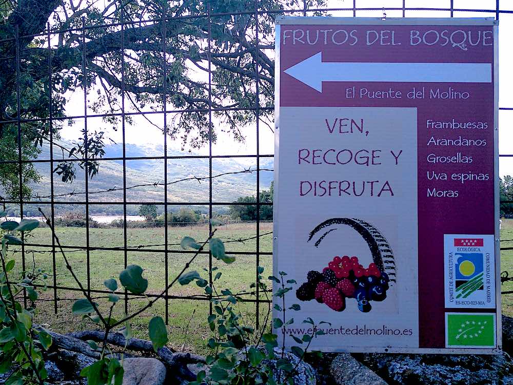 Cartel de acceso a El Puente del Molino, Lozoya