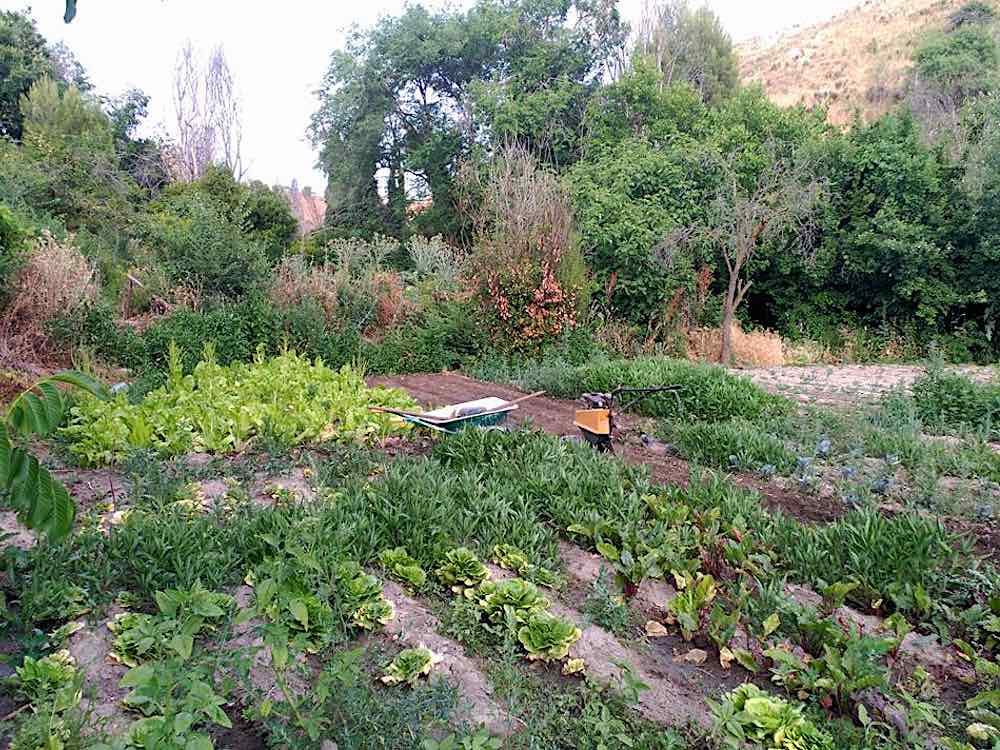 Huerta del Chorrillo, Paracuellos de Jarama