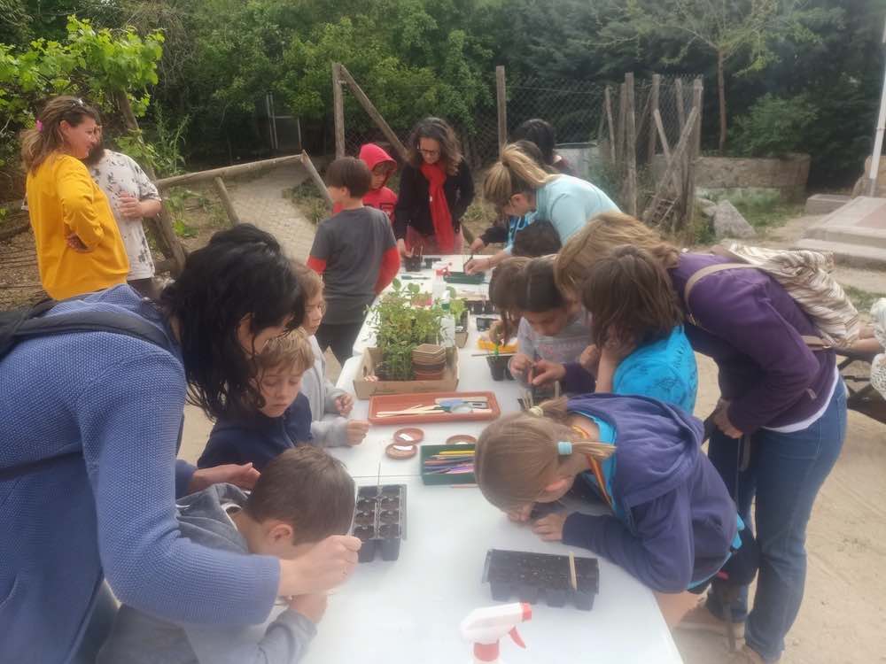 Plantando diversidad