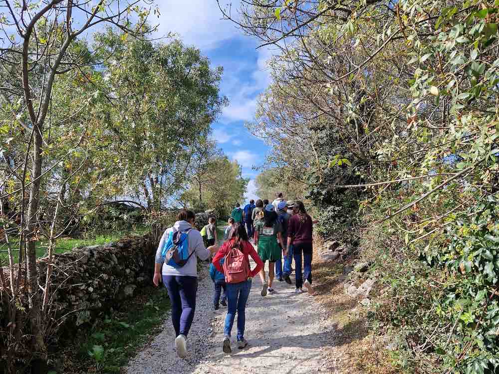 ECOS del Lozoya, Lozoya