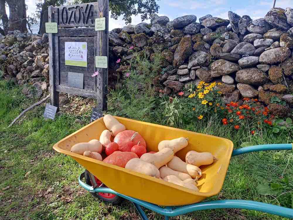 ECOS del Lozoya