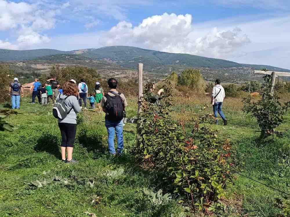 Proyecto agroecológico ECOS del Lozoya (finca El Puente del Molino, Lozoya)