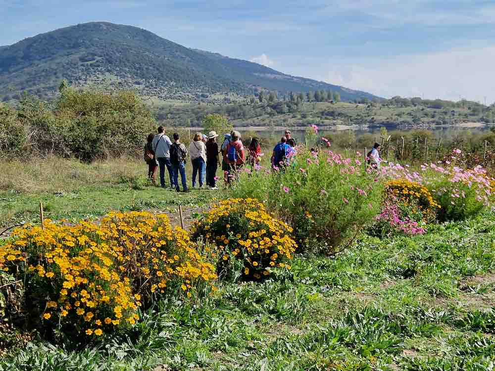 ECOS del Lozoya: panorámica