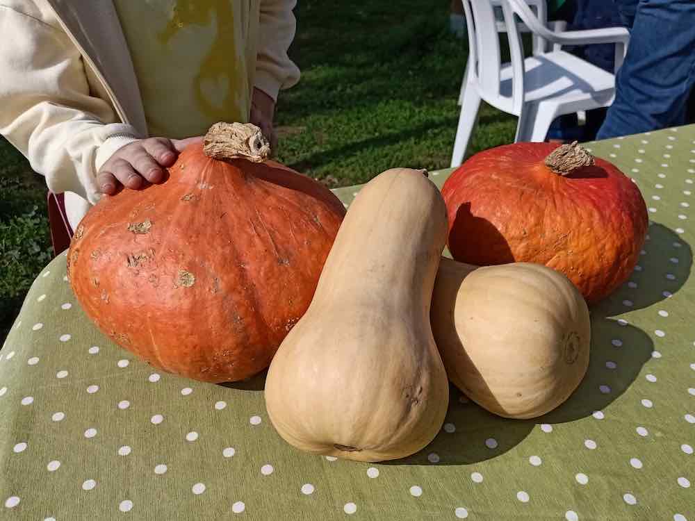 Calabazas