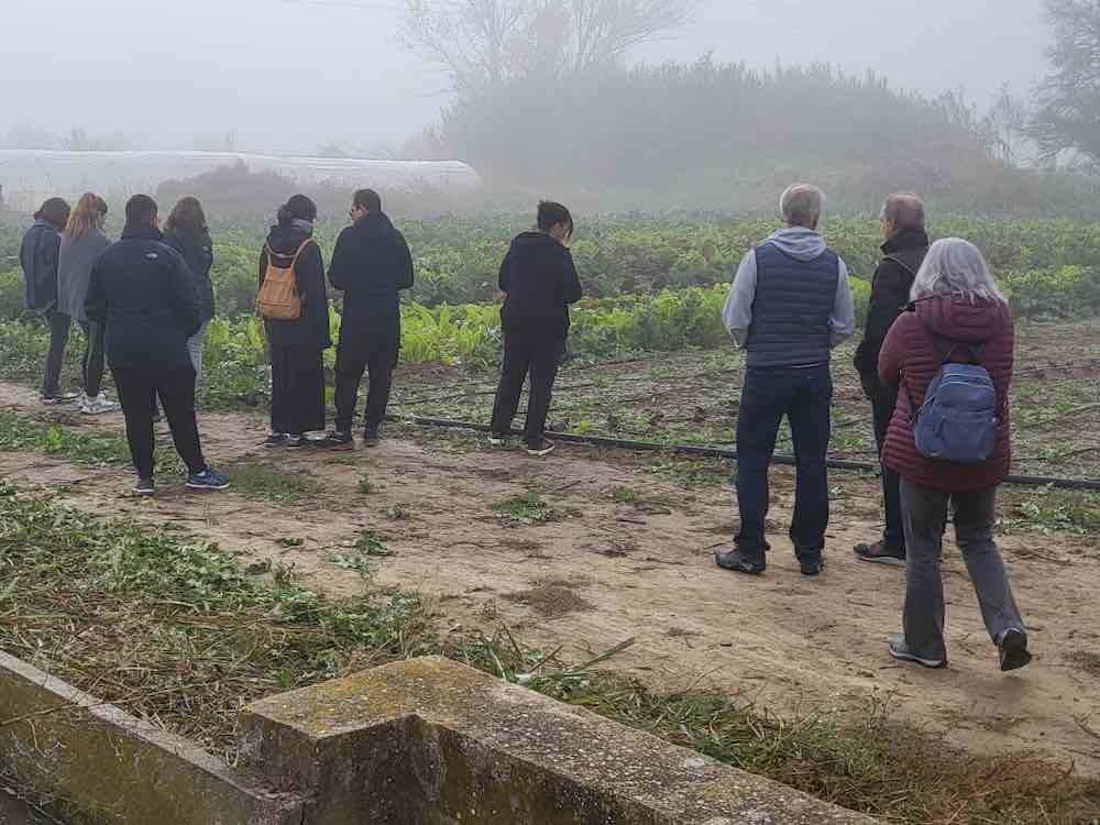 Ruta agroturística a Más que tierra