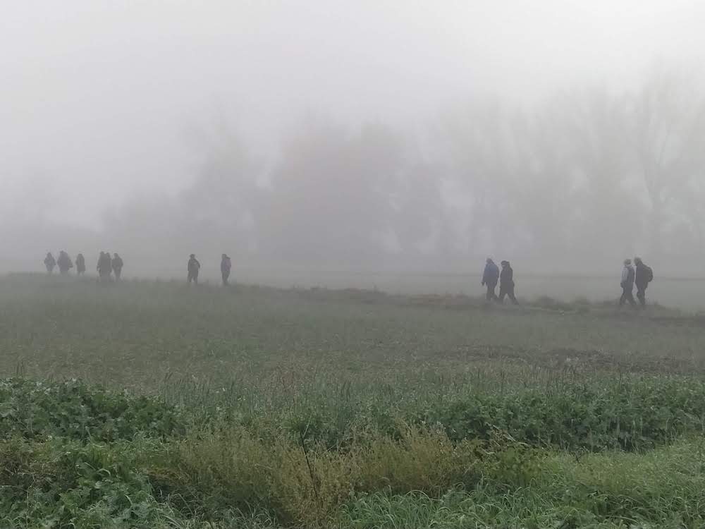 Niebla en Más que tierra