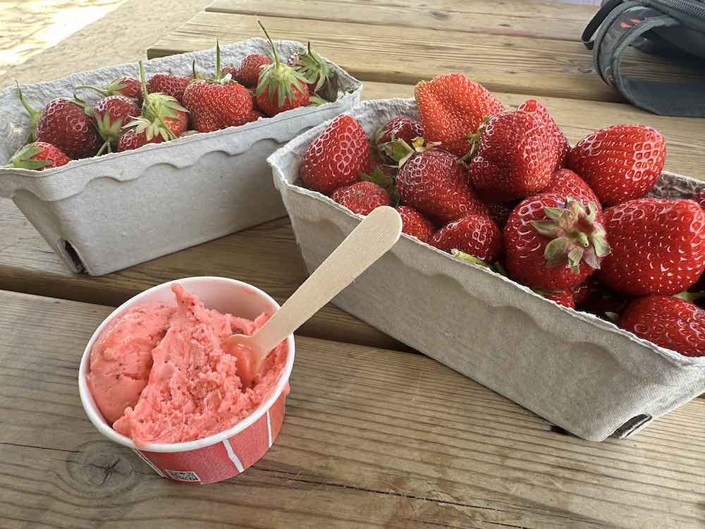 Fresitas y helado de fresas Monjarama