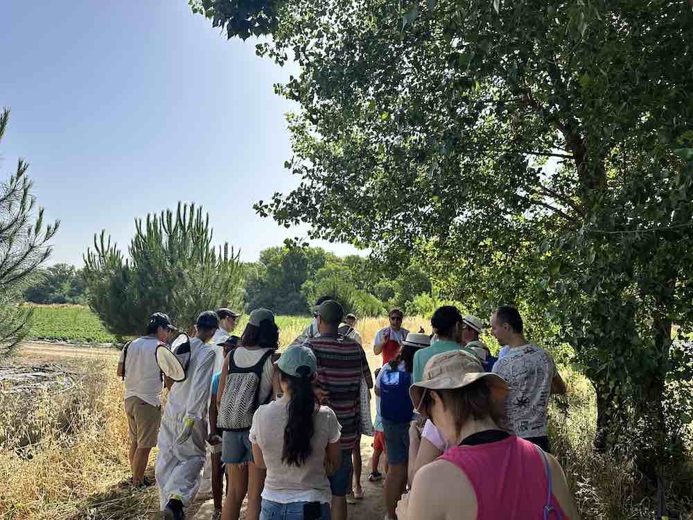 Paseo por Monjarama
