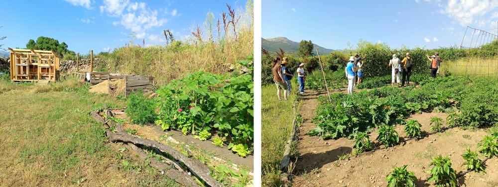 La huerta Ecos del Lozoya