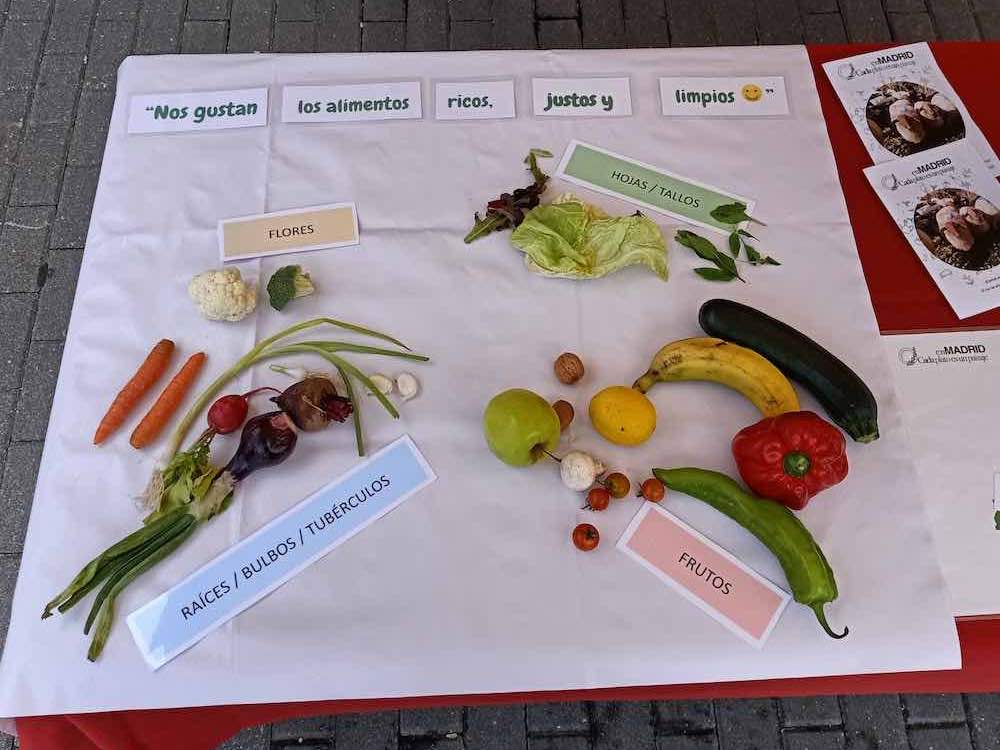 Clasificar frutas y verduras